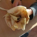Floare din foaie de porumb