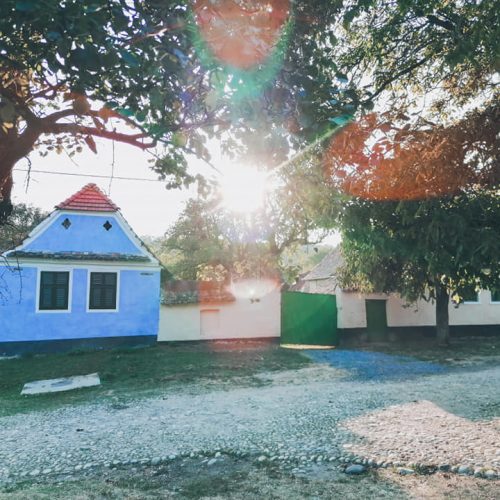 120044854_10208383235855042_310707221989767442_n