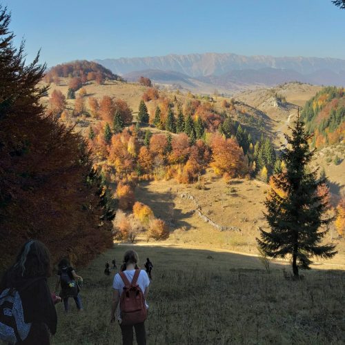 excursie transilvania munte