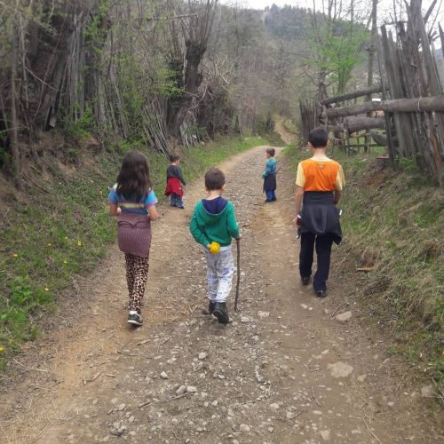 copilarie tara transilvania