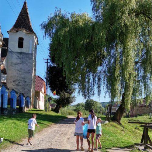 club lectura Transilvania