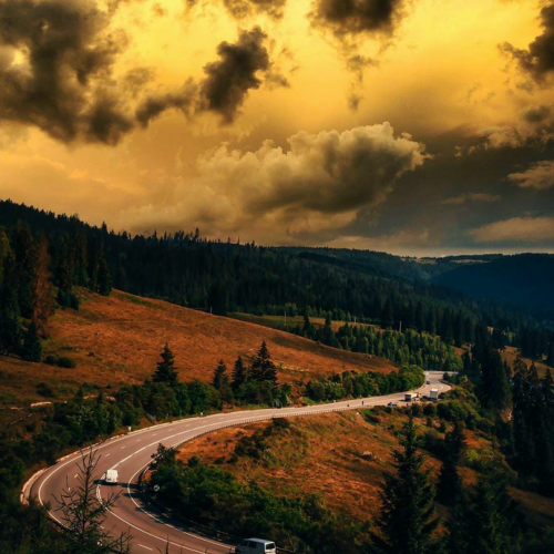 transilvania localnicilor